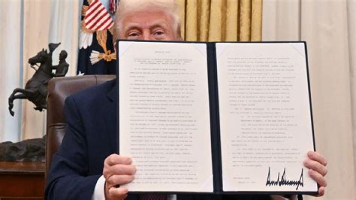 Who does the director of the CIA report to