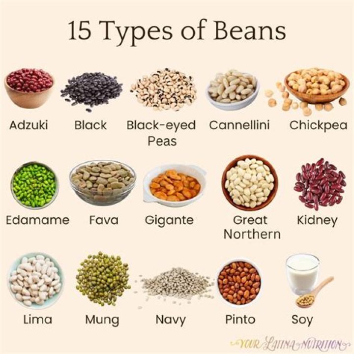Why are Java beans called beans