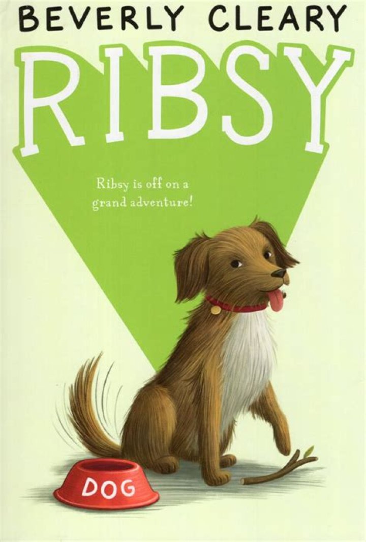 Why did Henry name his dog ribsy