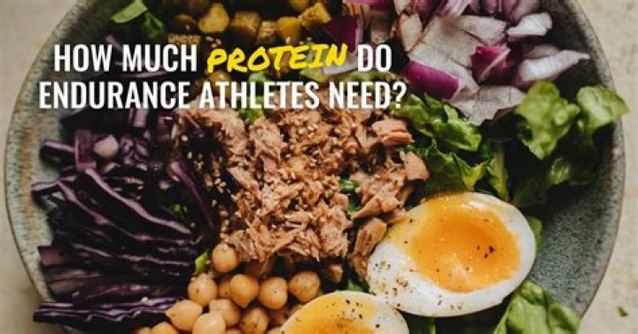 Why do endurance athletes need protein