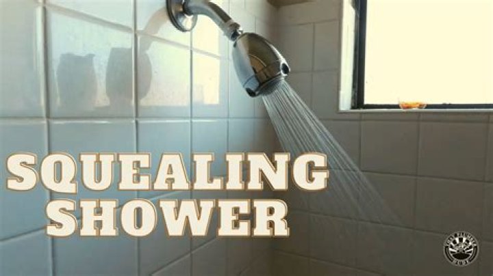 Why does my shower squeal when running?