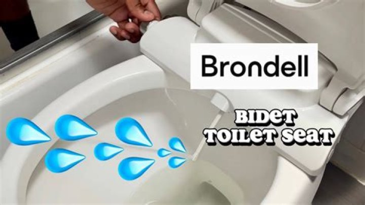 Why is brondell bidet leaking?
