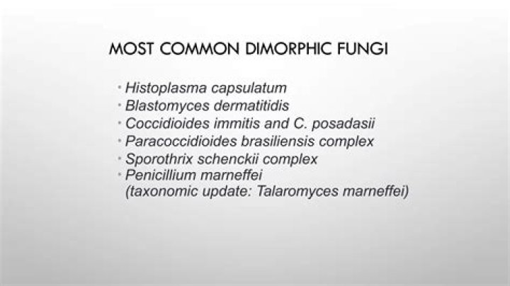 Why is dimorphic fungi significant to human health