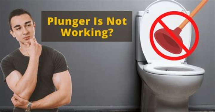 Why is my plunger not working?