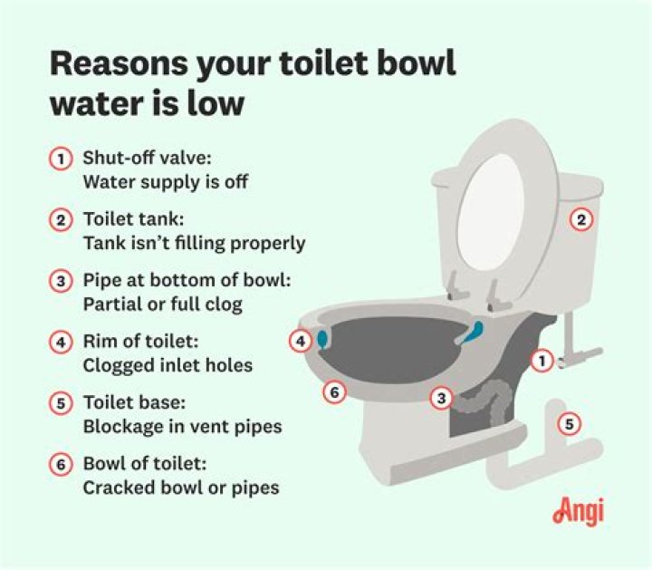 Why is my toilet bowl whistling?