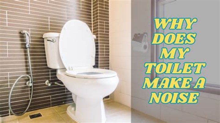 Why is my toilet making a trickling noise?